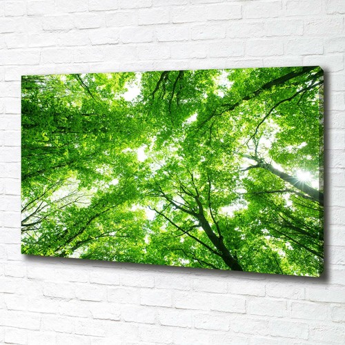 Tableau Toile Moderne 'Soleil Dans La Forêt' - 70x140 Cm, Imprimé Couleur Verte, Décoration Murale Branchée