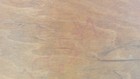 Bild 16 von 16