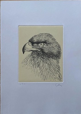 Renato Guttuso Aquatint 1978 ''Eagle'' 50X35 Signed Published
