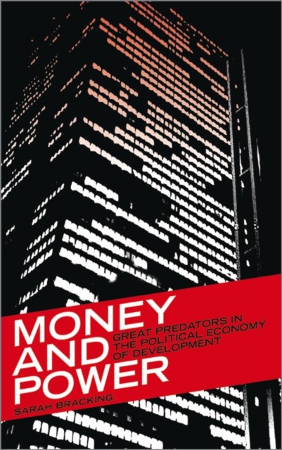 Money and Power by Sarah Bracking PAPERBACK 9780745320113