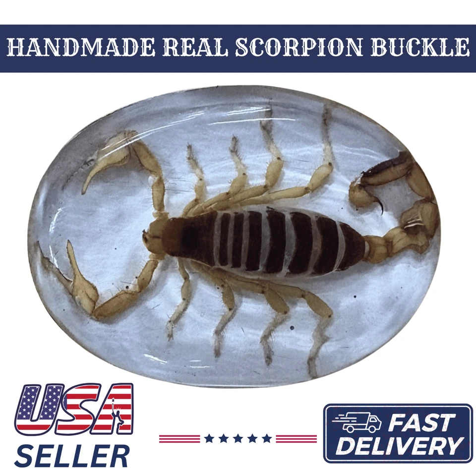 Vintage Real Scorpion Belt Buckle Western Cowboy Hebilla Hecho Mexico Handmade - Image 3 of 4