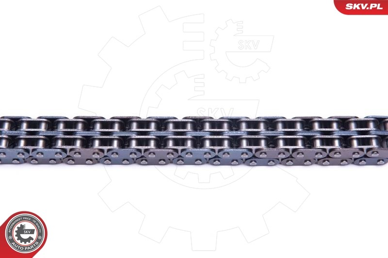 ✅Fits SKV GERMANY 21SKV218 TIMING CHAIN KIT 21SKV218 / 8 ELSEAT SKOD ⭐UK Seller⭐