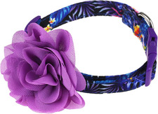 Purple Dog Collar with Flower Cute Girl Dog Collars for Small Dogs Cats Adjustab