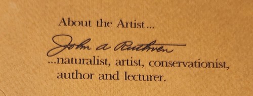 Wildlife Intl Lithograph - John Ruthven - 1982 - First Ohio Duck Stamp - #7797 - Picture 13 of 18