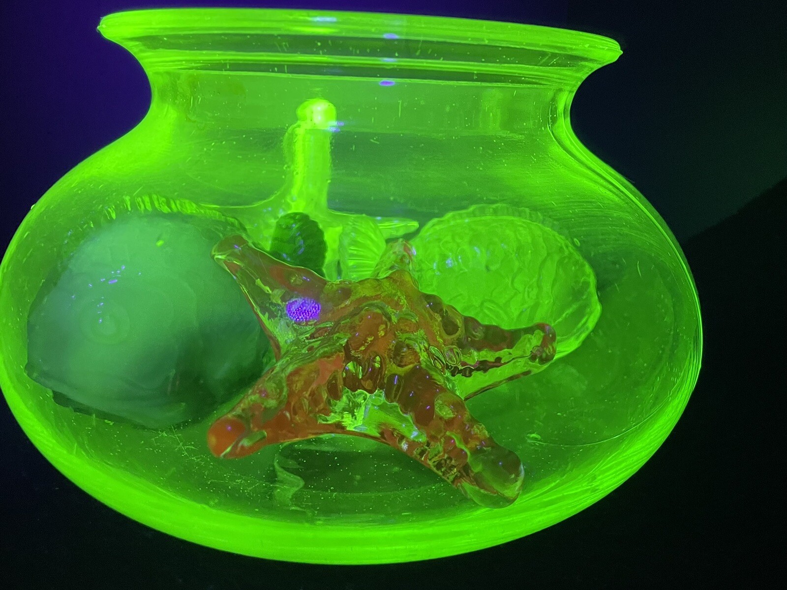 Vintage Uranium Glass Fish Bowl Aquarium Glows eBay