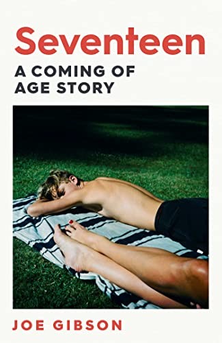 Joe Gibson - Seventeen The Shocking True Story Of A Teacher's Af - G245Z-image