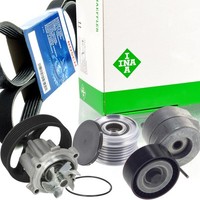 Bosch 6PK1318 Keilrippenriemen-Satz + Freilauf Wapu FüR Fiat Opel