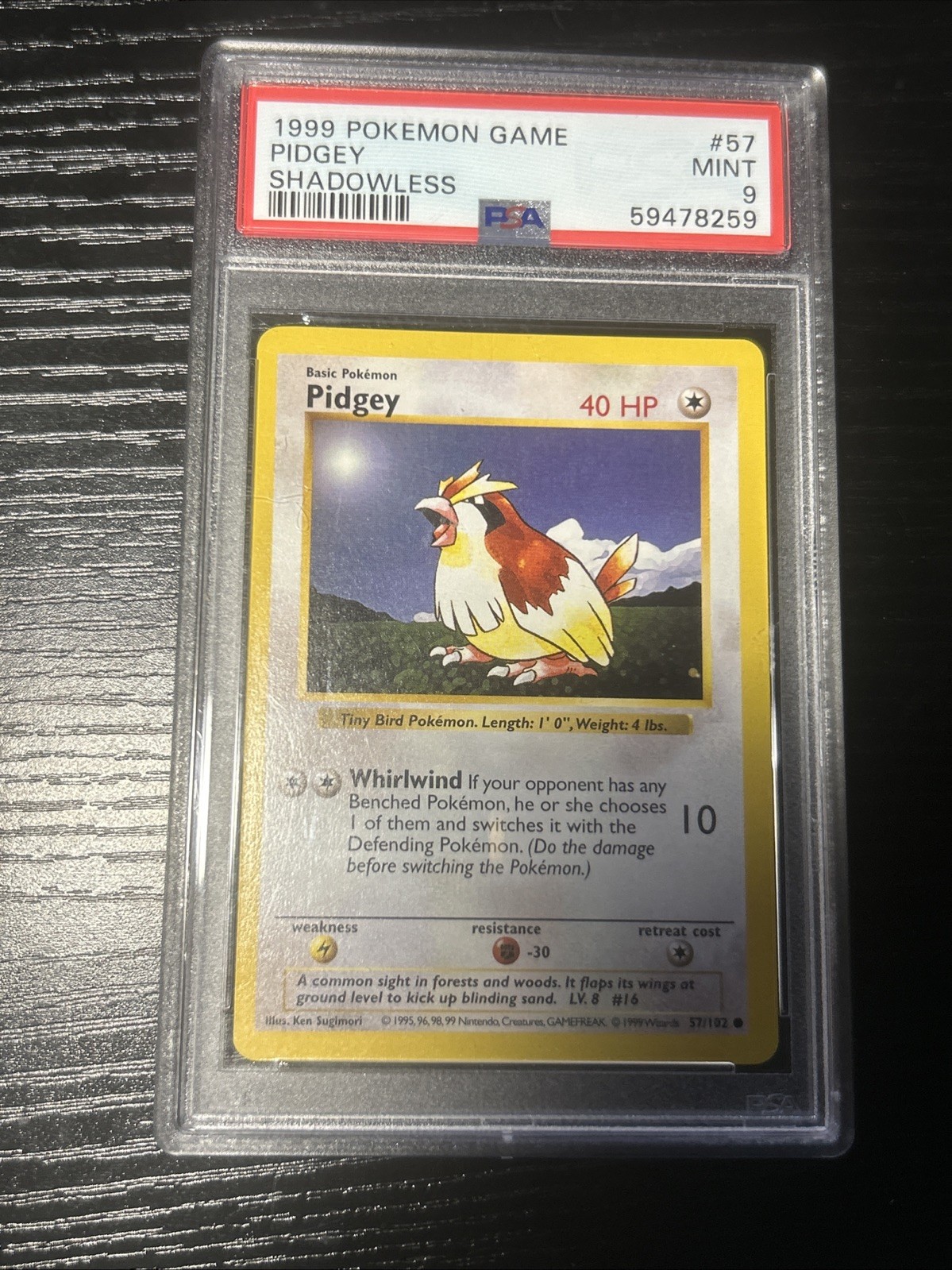 1999 Pokemon Pidgey Base Set 1st Edition Shadowless 57/102 PSA 9