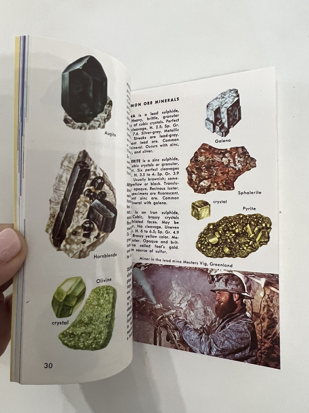 A Golden Guide Geology Book Booklet 1972 Vintage Falak Tayyeb