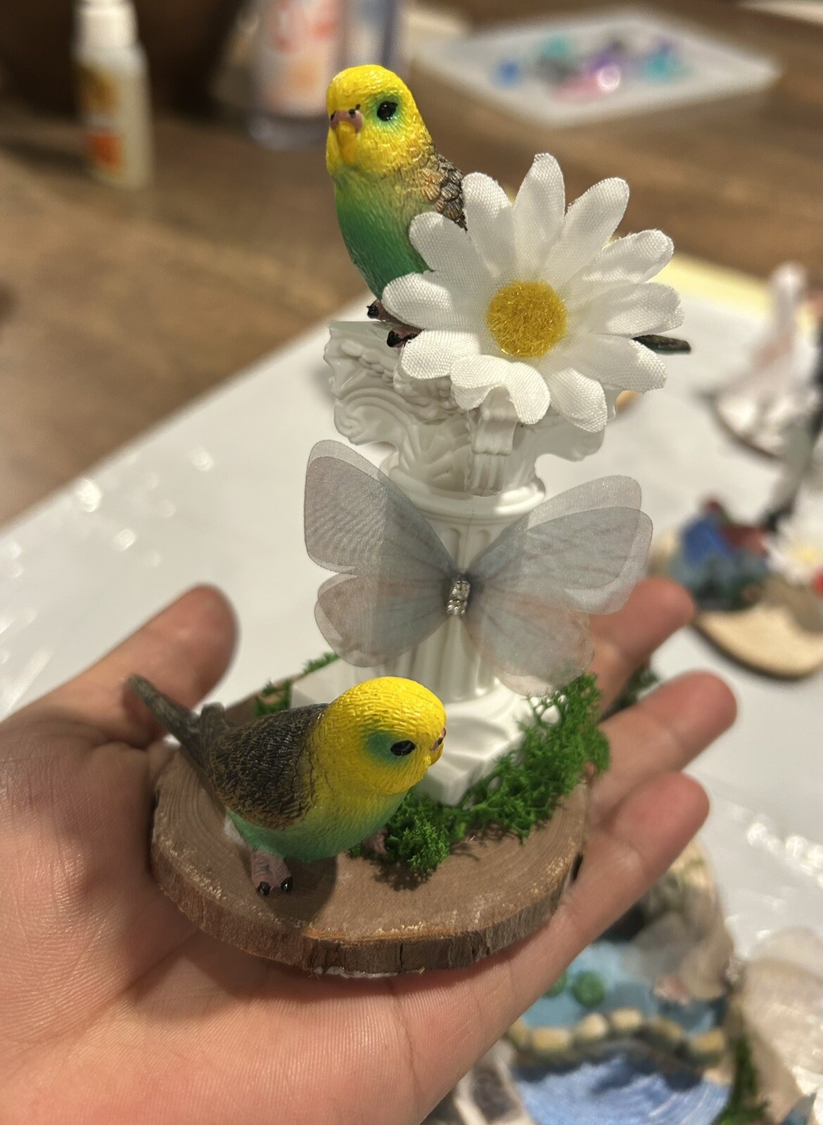 Valentines  couple of birds in love