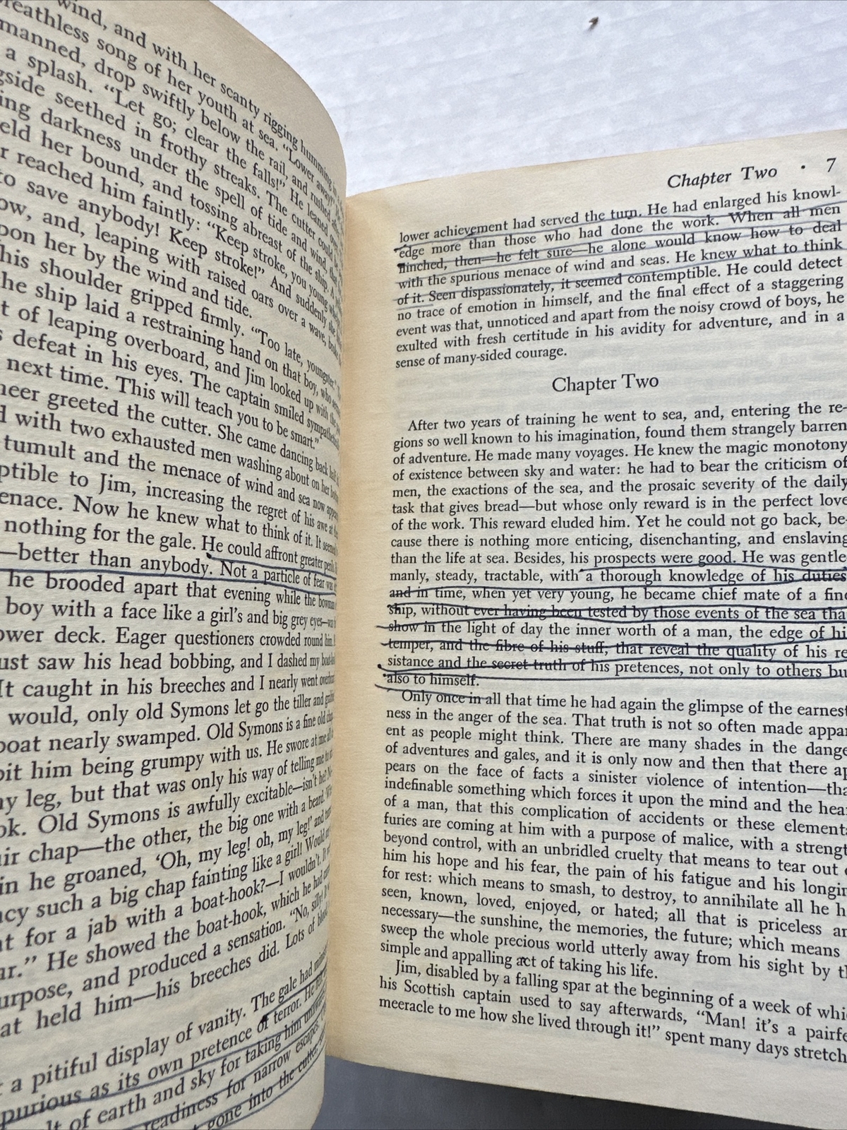 Norton Critical Editions Lord Jim By Joseph Conrad 1st Edition 1965 Classic eBay