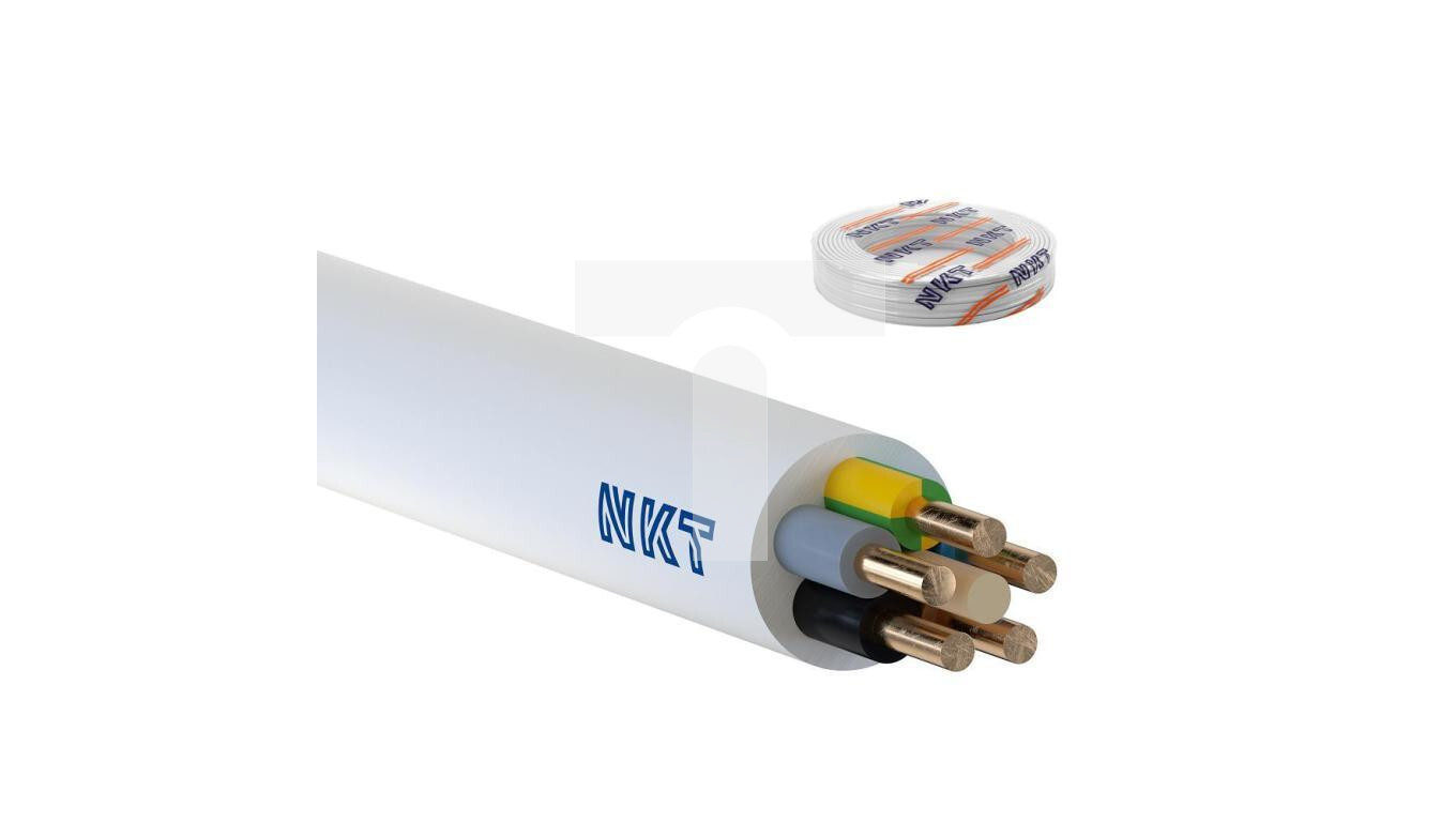 (1 disc) Cable YDY 5x4 żo 450 / 750V / 100m / 13025021 /T2UK