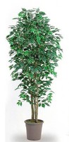 Artplants Kunst Ficus Benjamini Leonoret, EchtstäMme, GrüN-Weiß, 100Cm