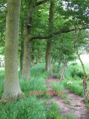 PHOTO  FOOTPATH BY LITTLE ACORN COPPICE SHROPSHIRE  2007
