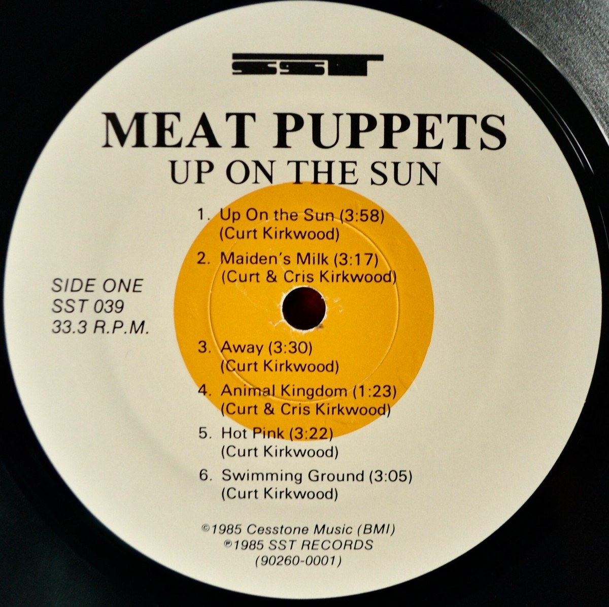 【USオリジナル盤】Meat Puppets Up On The Sun LP 61bFDJ9DZjL._UF350,350_QL50_.jpg