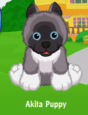 Webkinz Akita Puppy Code Only Messaged Webkinz Promo Puppy