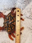 Murano Style Art Glass Crab Figurine Amber Brown Black Sea Life Coastal Decor — photo 5