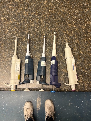 Pipette Set
