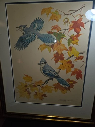 Cardinals, Blue Jays Albert Earl Gilbert