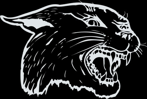 Adesivo decalcomania vinile parete finestra Cougar #3 mascotte 1 colore grafica stampata - Foto 1 di 5