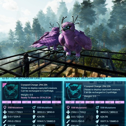 Ark Survival Ascended Pve Snow Owl Healer Max Level 362 / Solids / TOP STATS - Picture 10 of 29