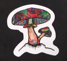 Bright Colorful Retro Psychedelic Mushroom Sticker 2" x 1.75" P