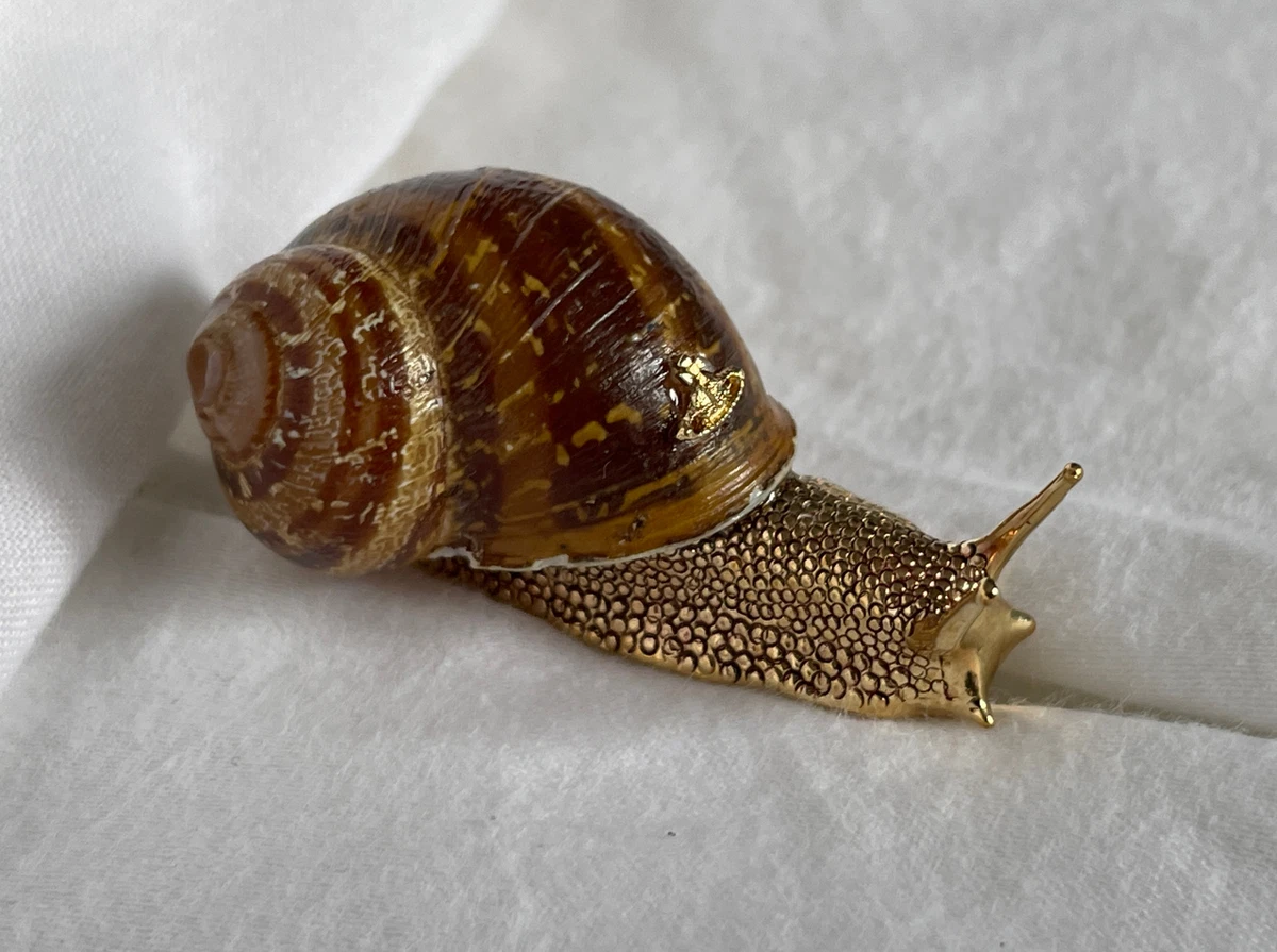 Vivienne Westwood Snail Brooch Jewelry with Box Orb eBay