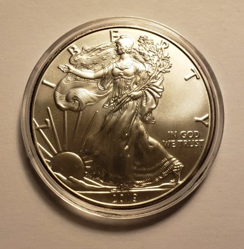 2019 $1 American Eagle 1 oz Silver Dollar Coin Walking Liberty BU in capsule
