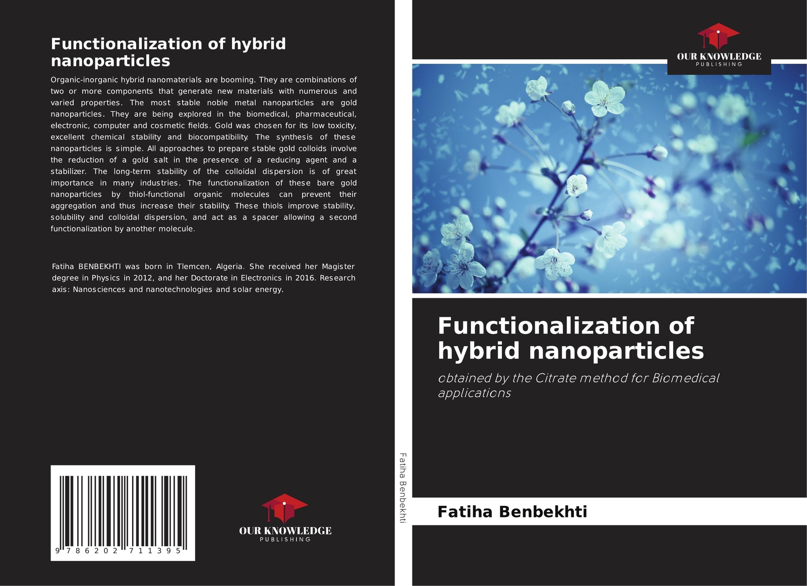 Functionalization Of Hybrid Nanoparticles Fatiha Benbekhti Taschenbuch