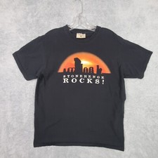 Vtg Stonehenge Rocks T Shirt Size M Black Tourist Crew Neck Cotton Short Sleeve