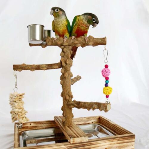 Bird Playground Exercise Gym Bird Playpen for Canaries Macaw Lovebirds - Bild 1 von 10