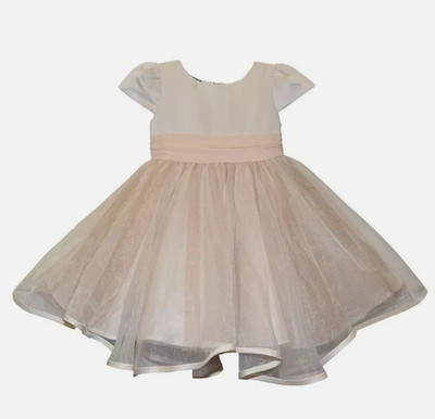 blueberi boulevard dress 2t champagne glitter NWT