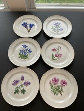Rosenthal Germany Hand Painted Alpine Flowers Set of 6 Salad or Dessert Plates