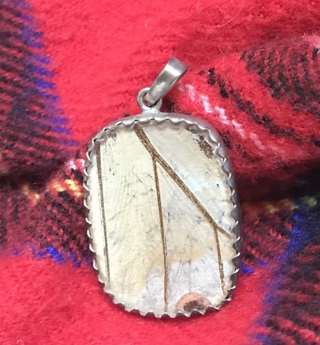 JUEGO DE PENDIENTES Y COLGANTES ALA MARIPOSA SHIMMERWINGS, ÚNICO EN SU TIPO + COLGANTE DE BONIFICACIÓN! - Imagen 16 de 20