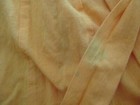 Foto 10 di 10