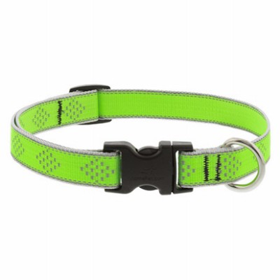 3/4x9-14" GD Dog Collar -48101