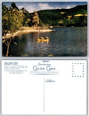 Lake Anza Berkeley CA Postcard Charles Lee Tilden Park WESCO Spectratone