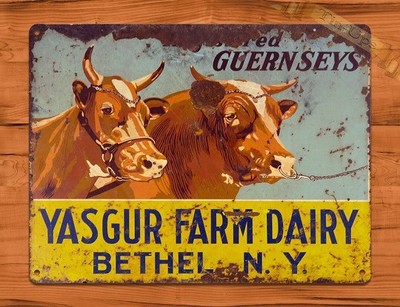 Download TIN SIGN "Guernseys" Yasgur Farm Cow Dairy Rustic Barn ...