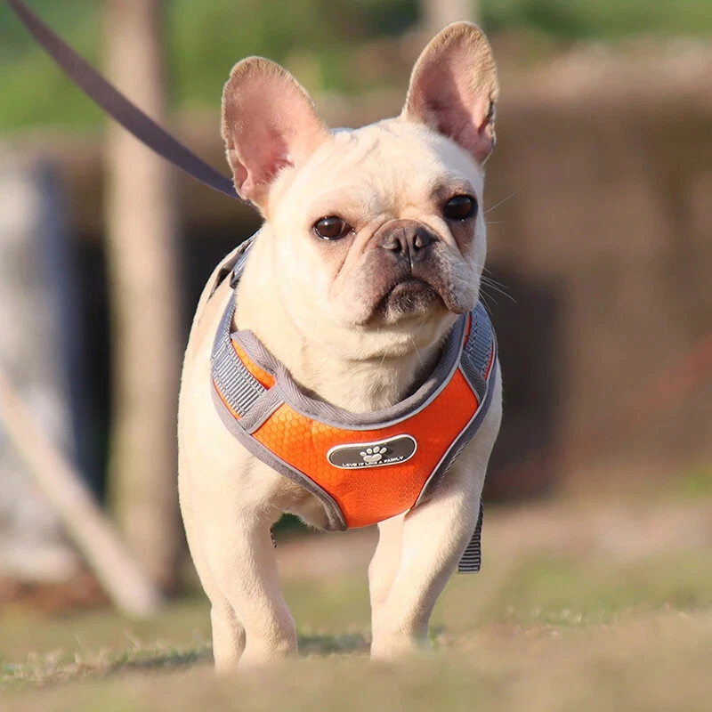 Dog Harness Vest Breathable Dog Training Reflective Nylon Pet Chest Strap New US