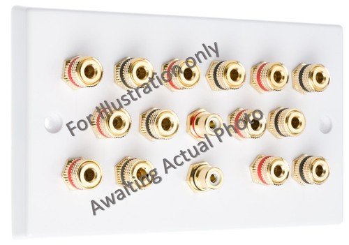 Audio Speaker AV 7.2 Wall Face Plate 14 Terminal Binding Posts + 2 RCA's - Picture 11 of 18