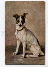 3027201 Smooth Foxterrier. Von HANSTEIN. Vintage PC