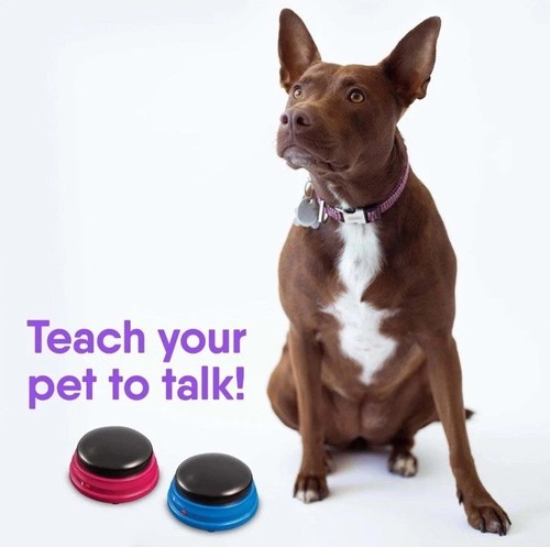 Ensemble de démarrage Hunger For Words Talking Pet boutons pour communication - Photo 2/10
