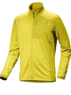Arc teryx Delta Jacket Mens Lamprye Size XL