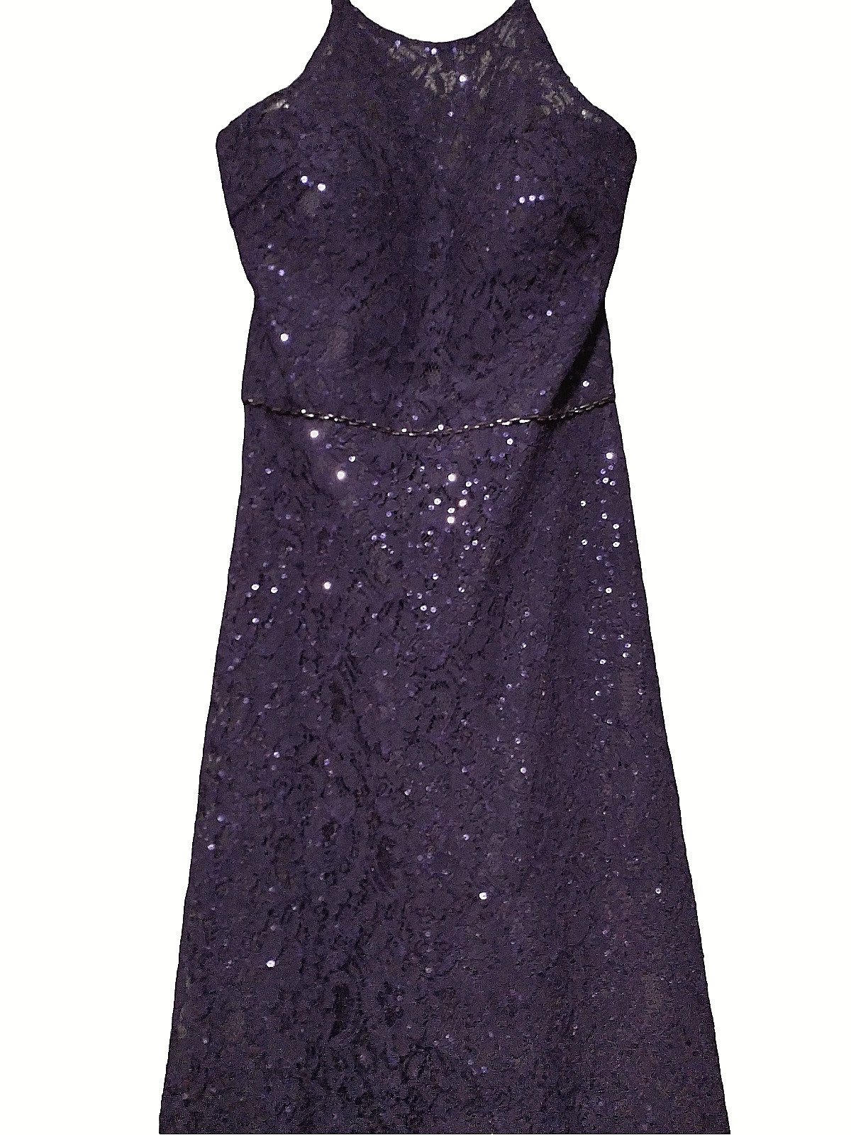 BLUSH 11777 Prom Dress by Alexia - Amethyst, Sequined Lace, Adjustable Straps