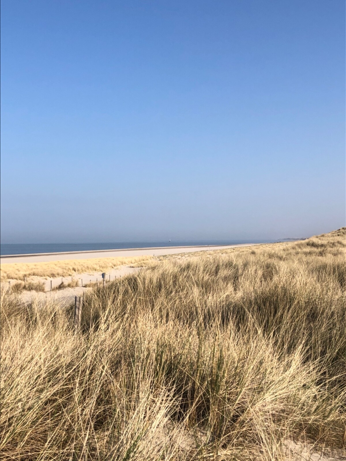 Bild 17 von 19