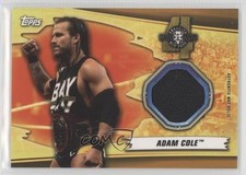 2019 Topps WWE Summerslam Mat Relics Bronze 65/99 Adam Cole #MR-AC 0v0