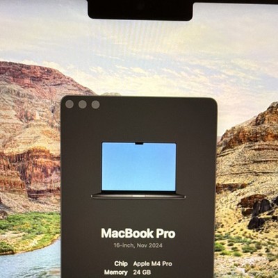 Macbook M4 Pro 16インチ (24GB/1TB) Apple MacBook Pro 16-inch M4 Pro 24GB 1TB Nano Texture Black | eBay