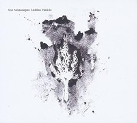 Telescopes - Hidden Fields - Vinyl Record - G4Z