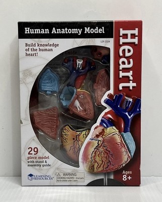 Learning Resources Human Heart Anatomy Model 29 Piece Educational Set LER3334