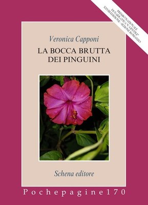 Der hässliche Mund der Pinguine - 2025 - Schena Verlag
